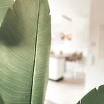 Apartamento Zirbenglück Mit Balkon In Graz